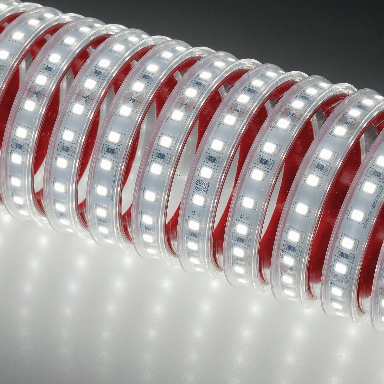 50051 image 3