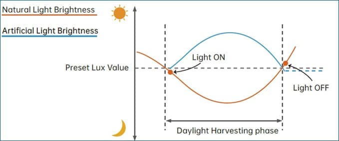 PIR & Daylight Sensor image 3