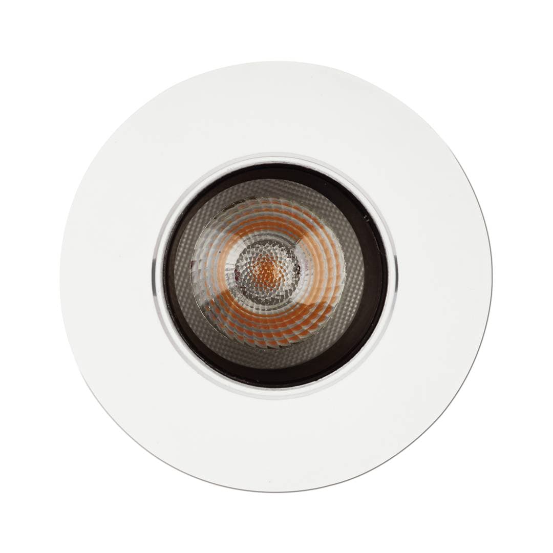 1901 Downlight image 4