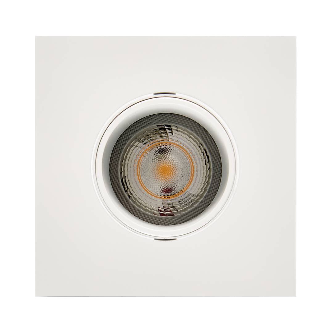 1901 Downlight image 4