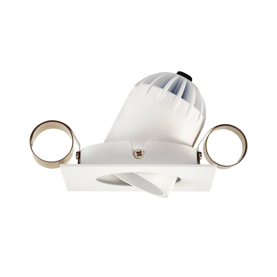 1901 Downlight