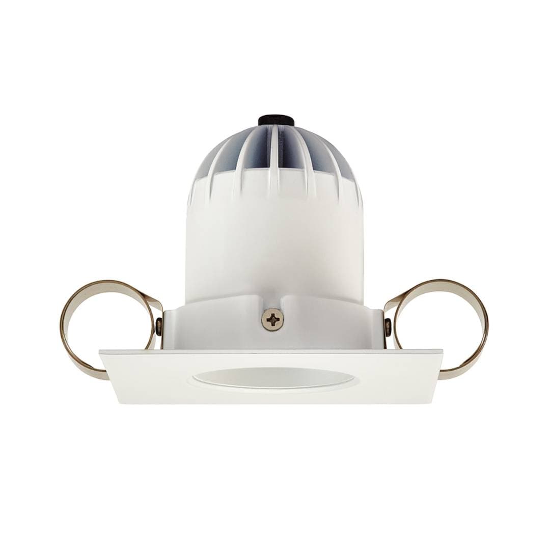 1901 Downlight