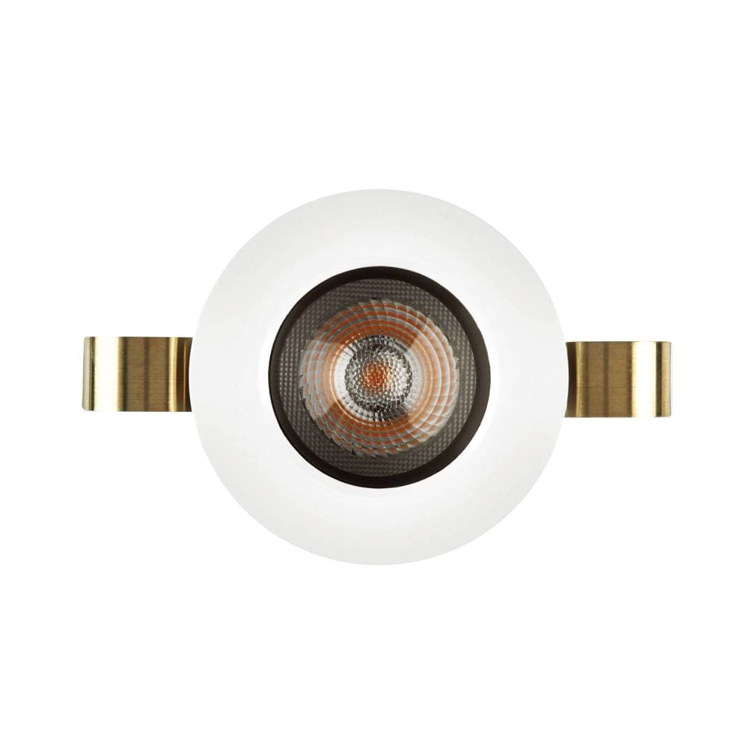 1901 Downlight image 2