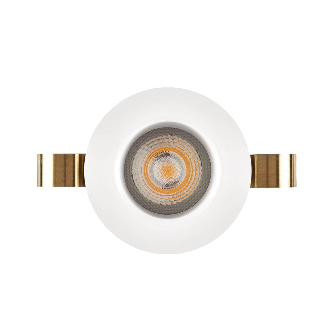 1901 Downlight image 2