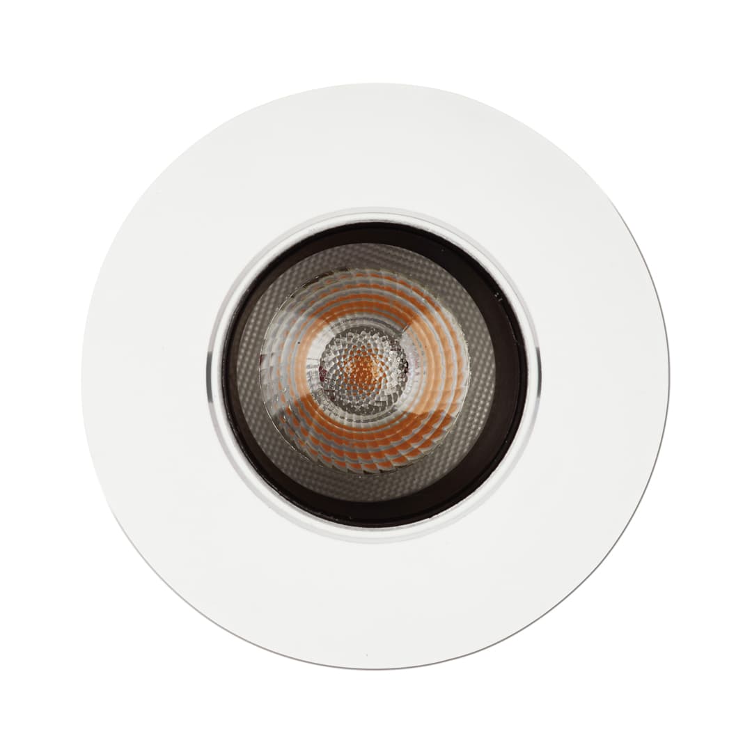1901 Downlight image 17