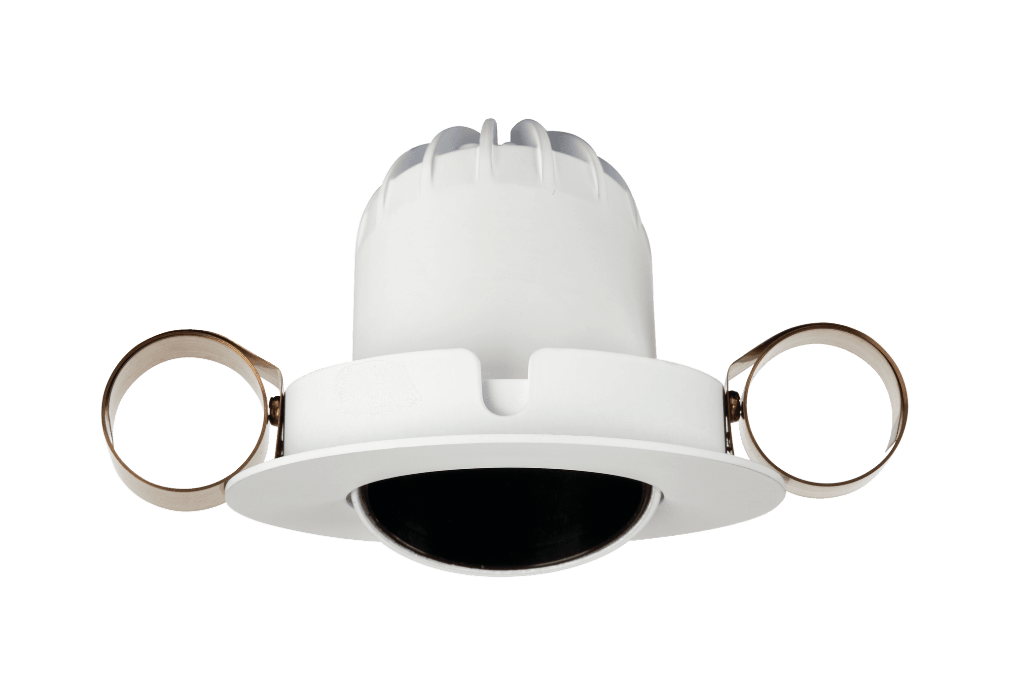 1901 Downlight image 4