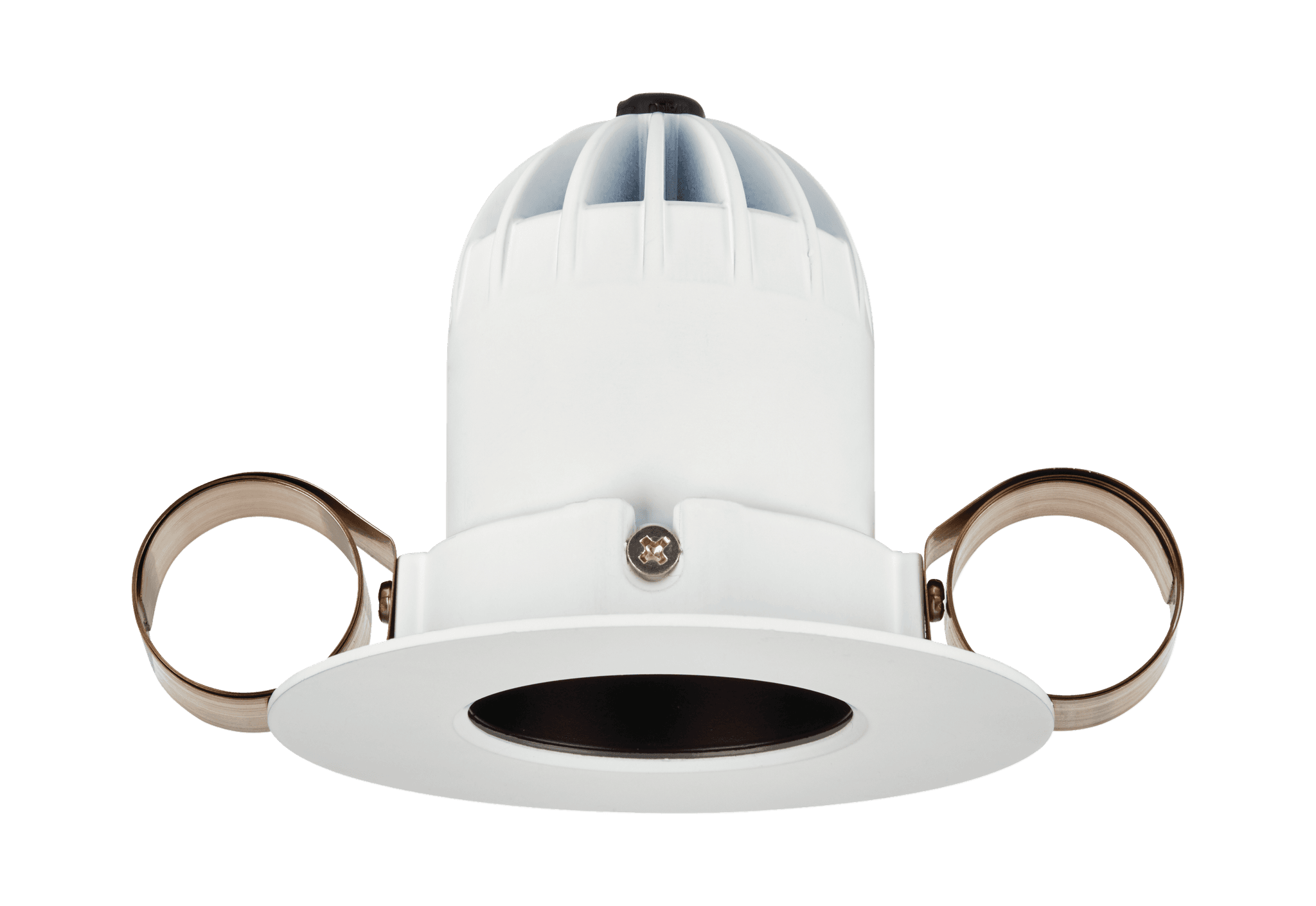 1901 Downlight