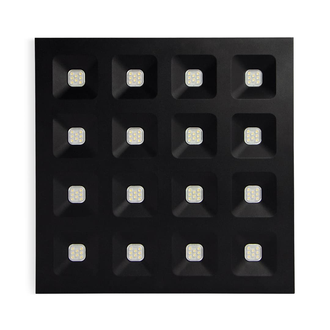 Domino's image 4