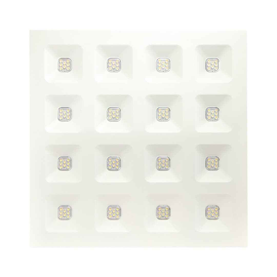 Domino's image 8