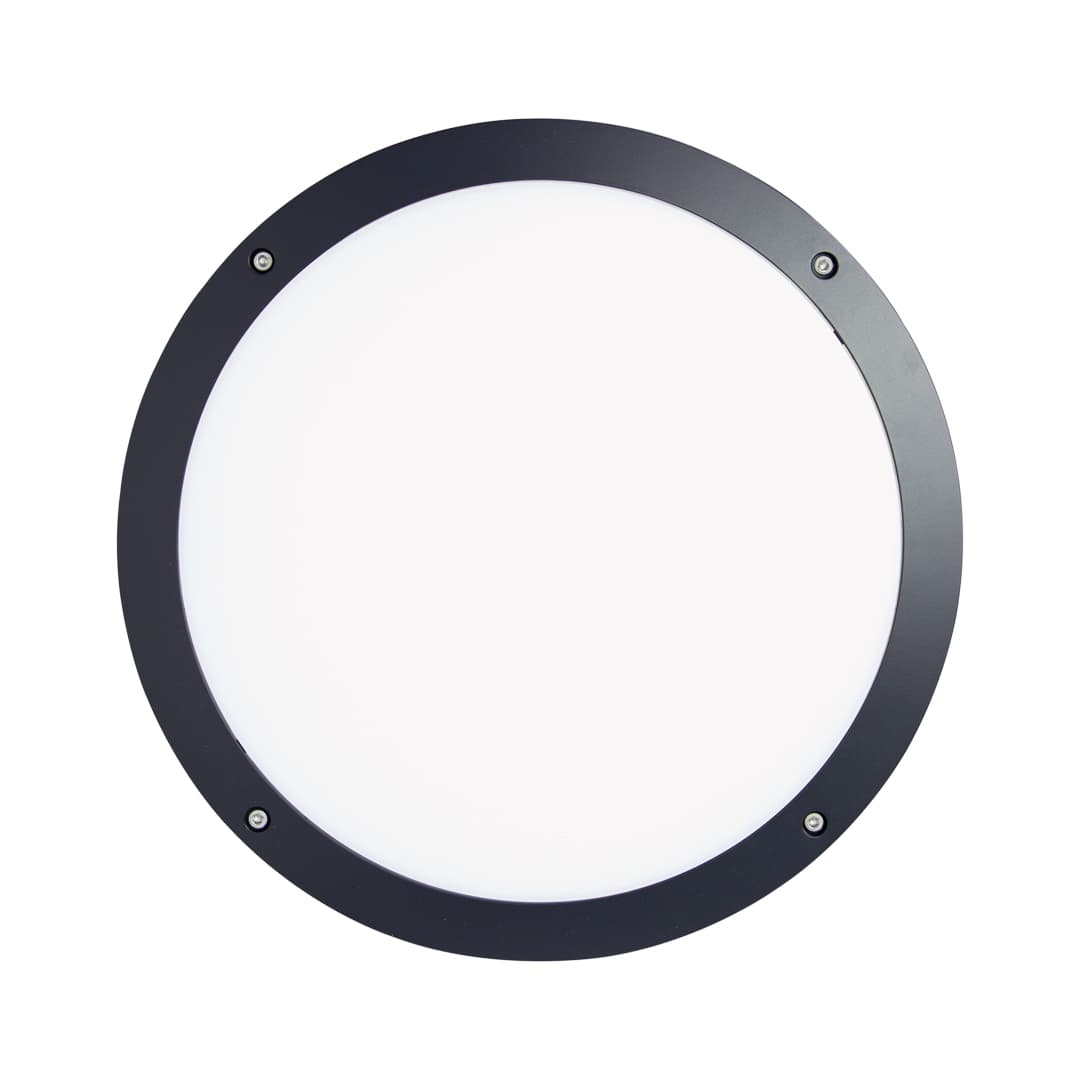 Halo Wall Light image 4