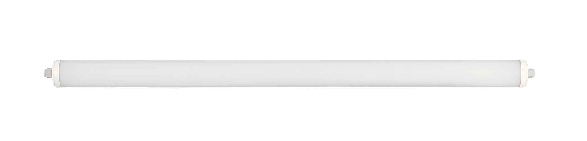 Polaris image 3
