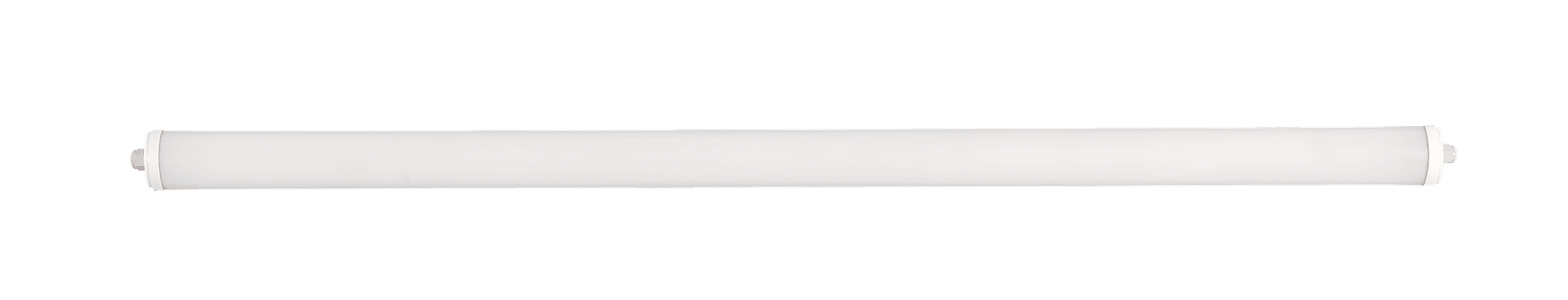 Polaris image 3