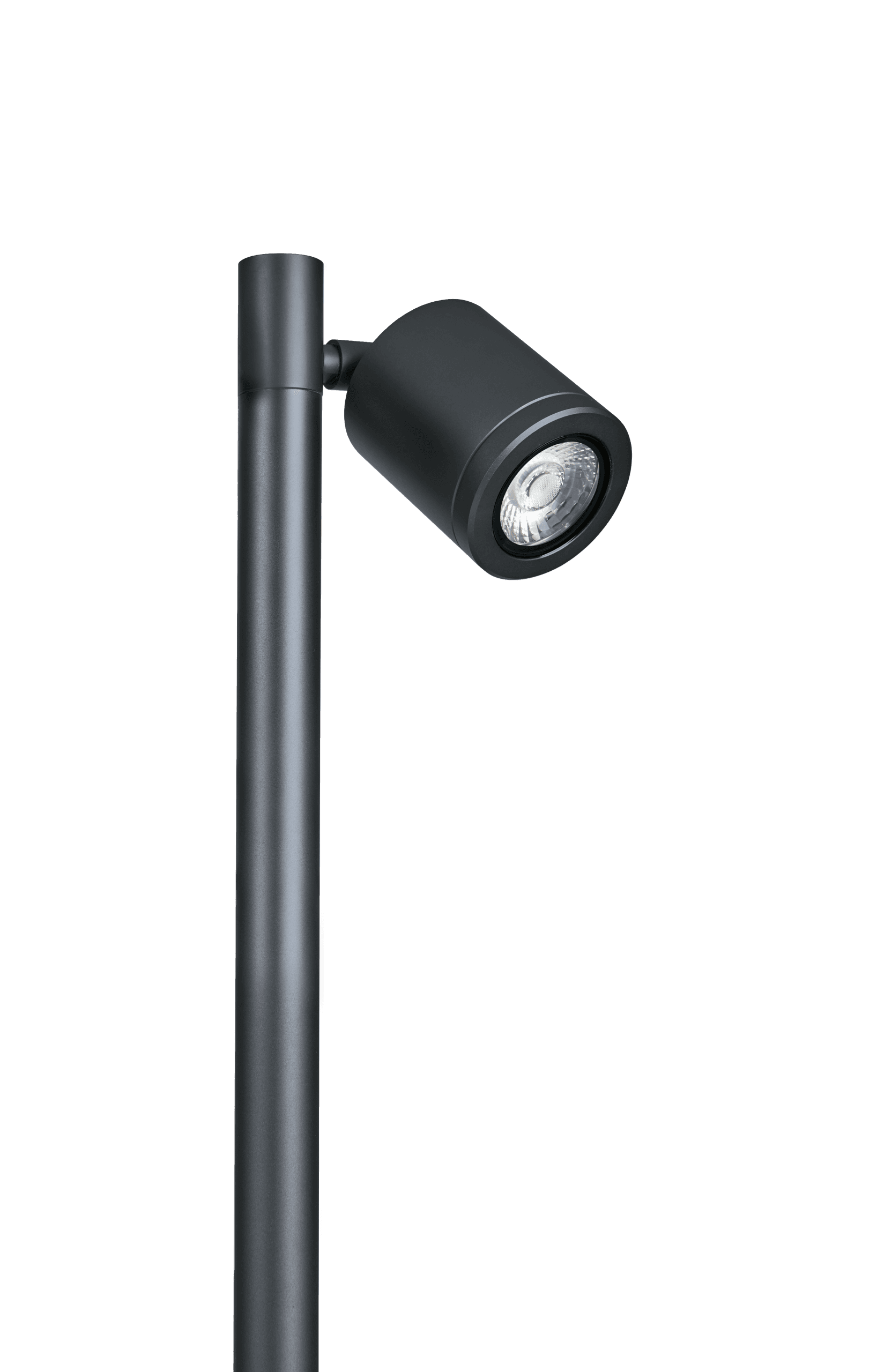 SL230 Single Head Mains