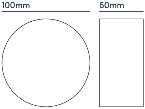 Spydra image 2