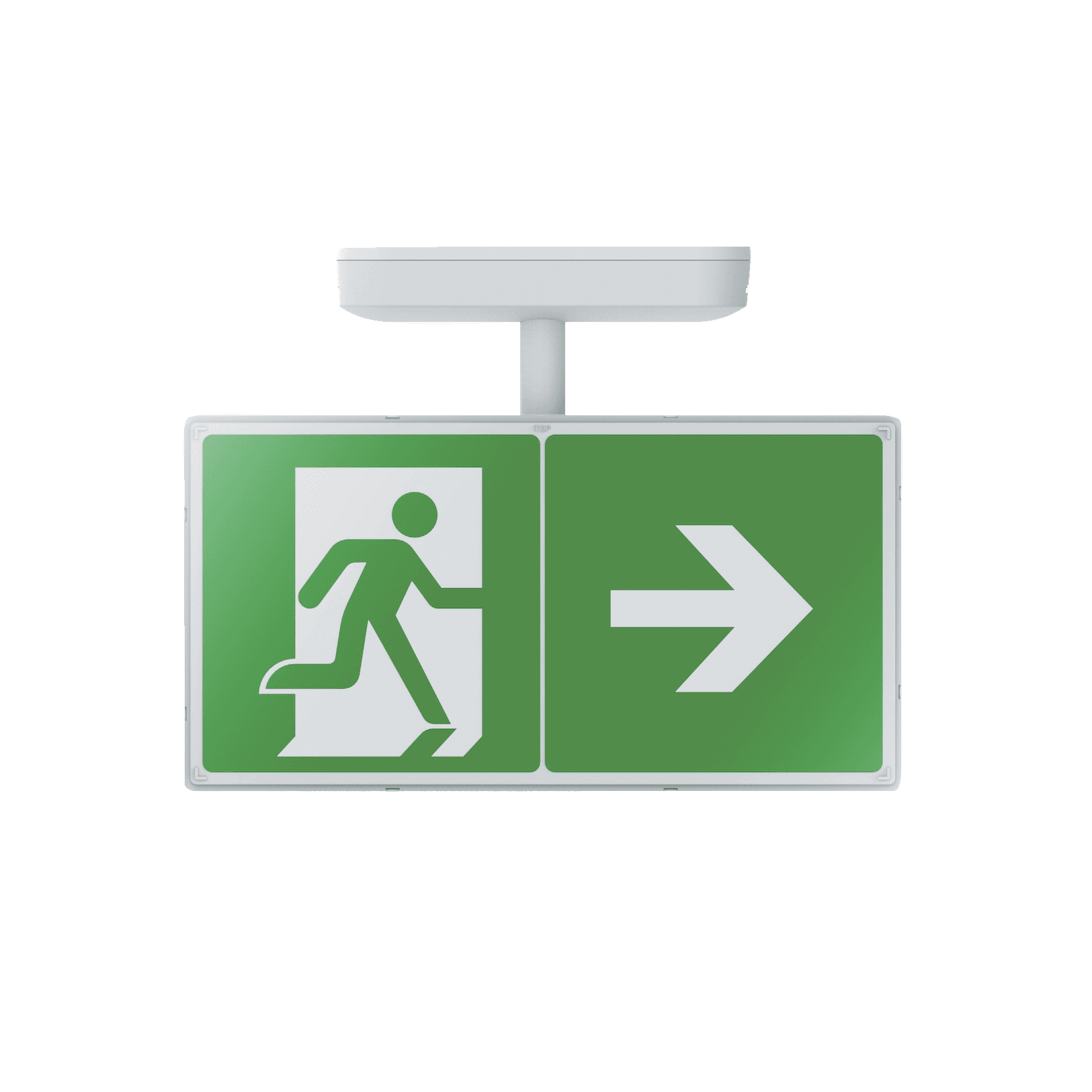 Salvus Exit Box image 9