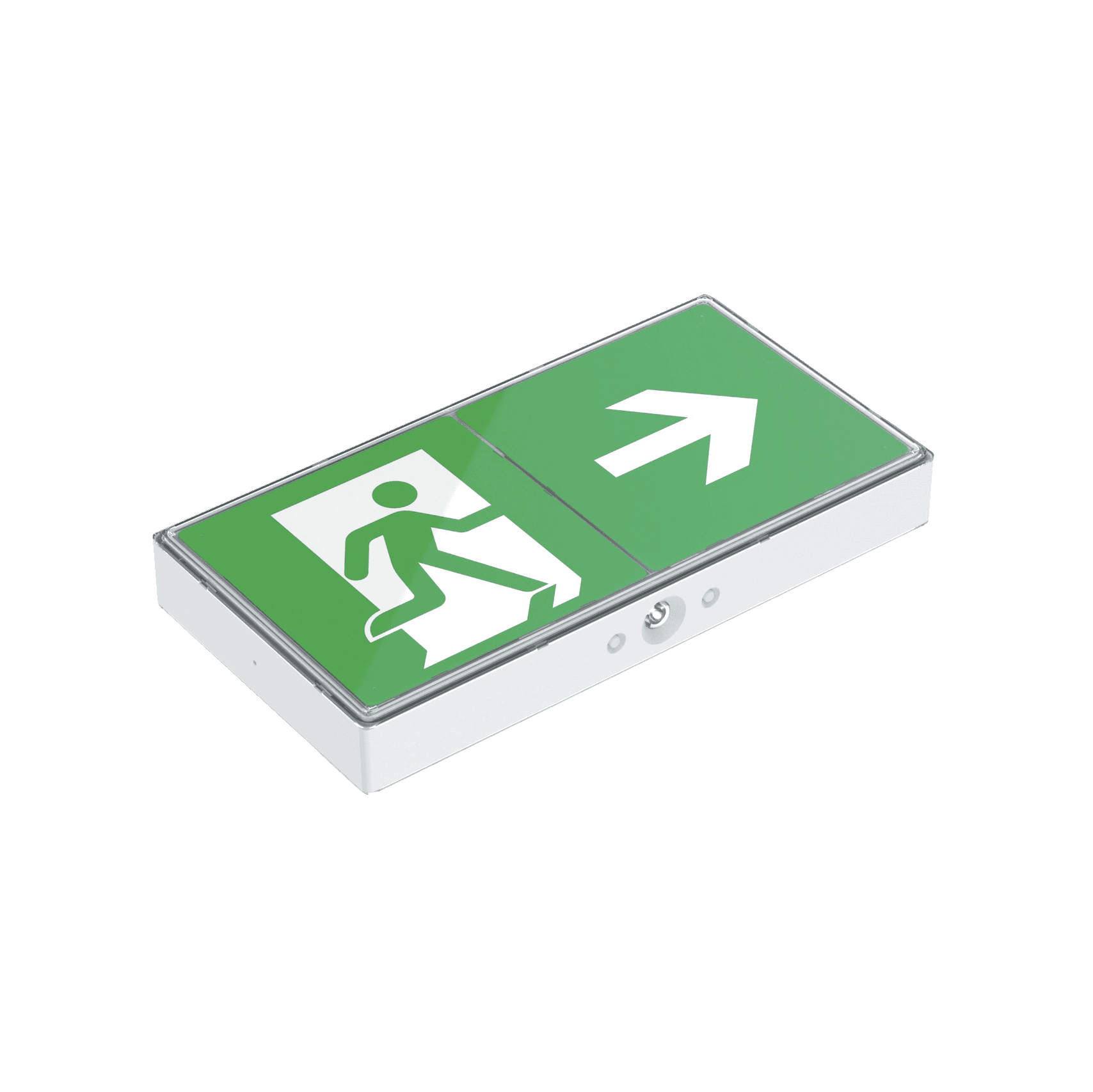 Salvus Exit Box image 7