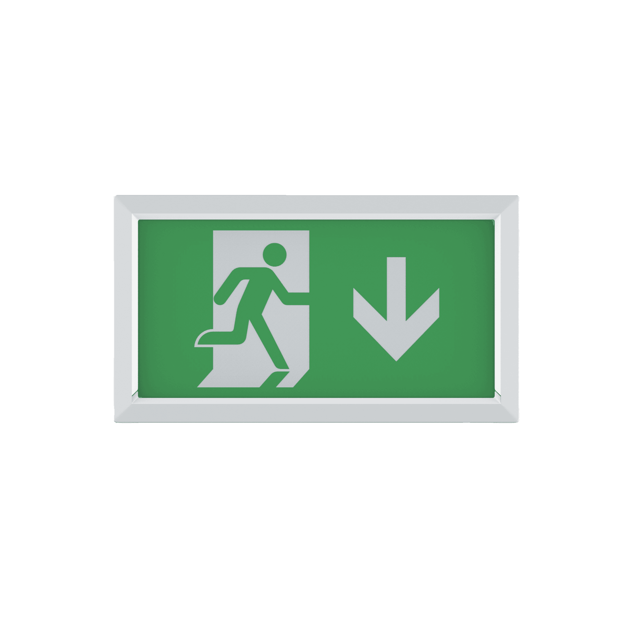 Salvus Exit Box image 4