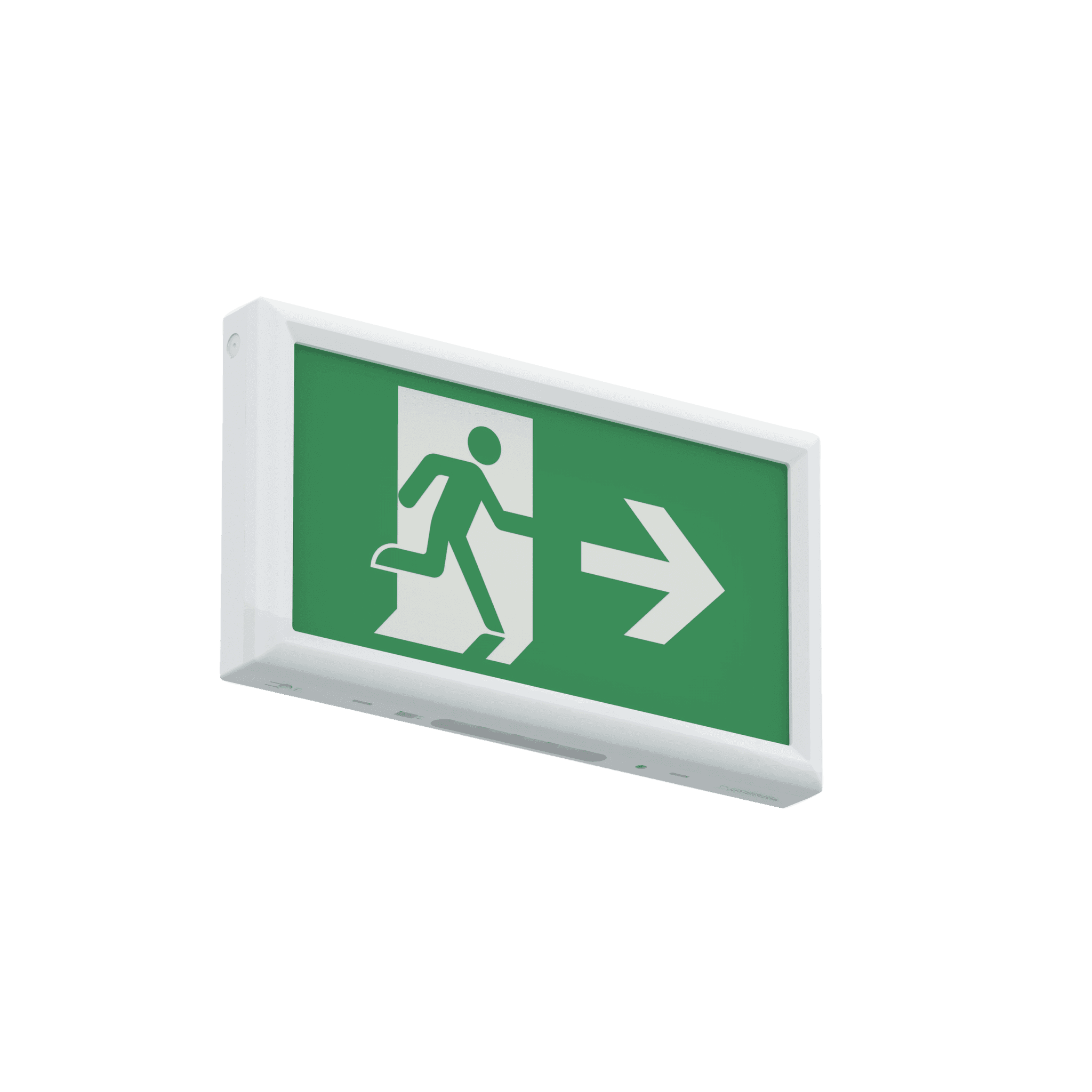 Salvus Exit Box image 3