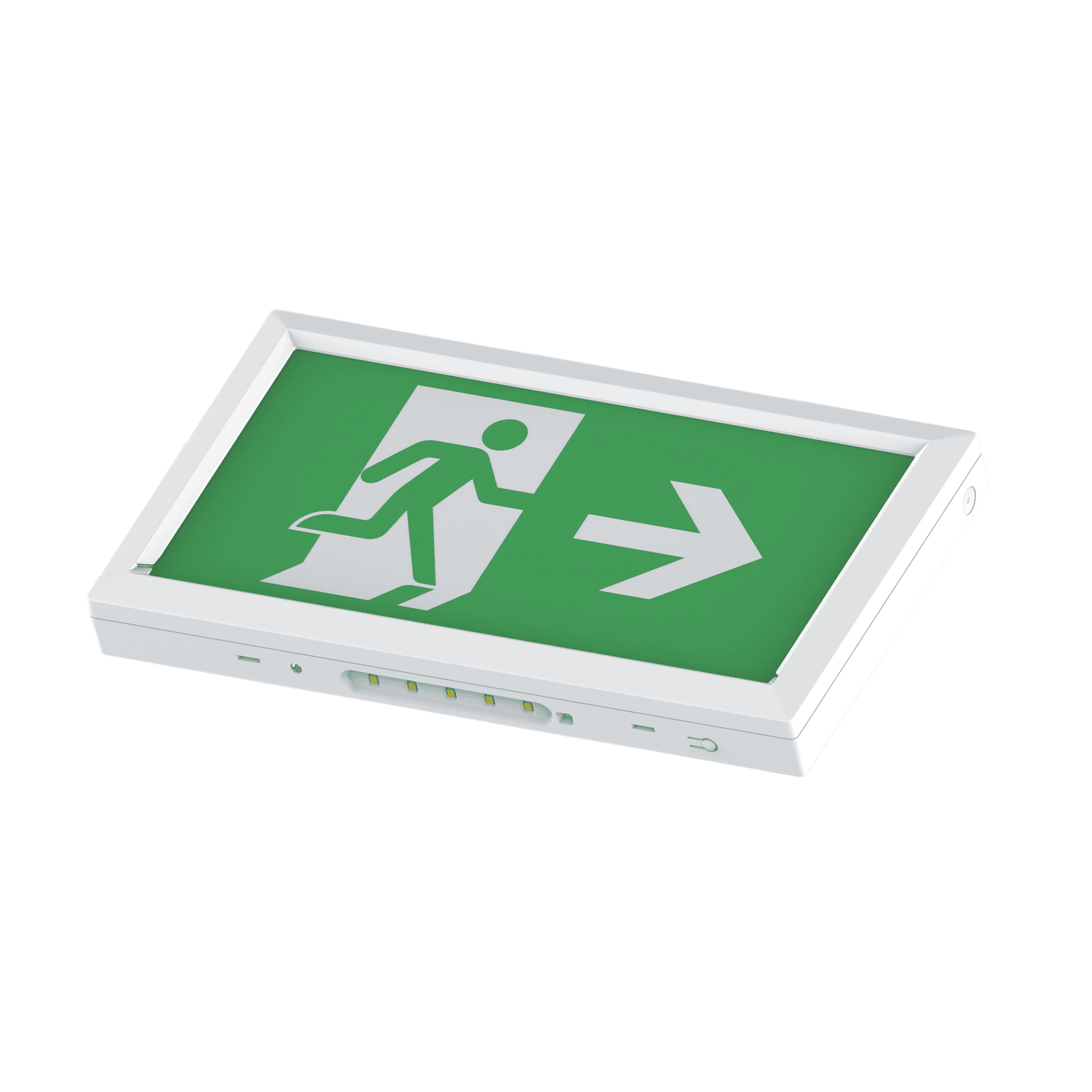 Salvus Exit Box image 5