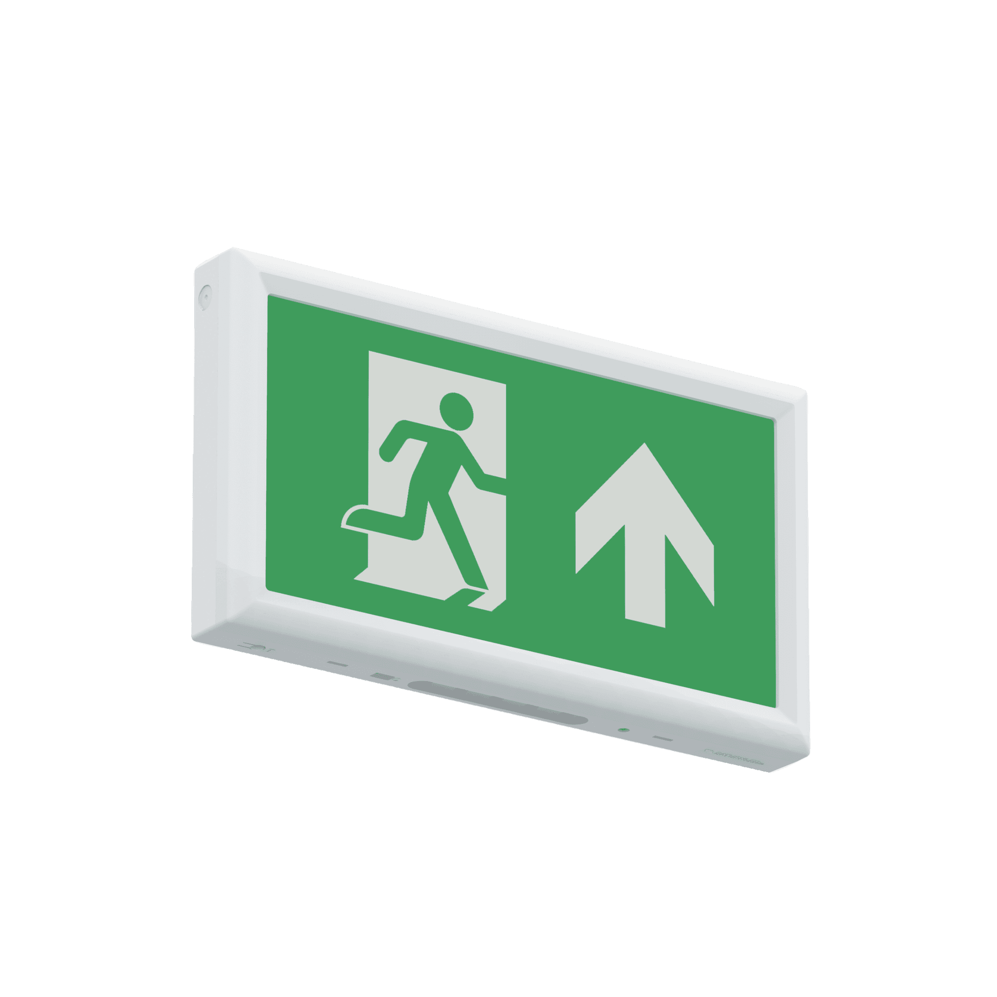 Salvus Exit Box