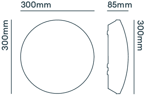 WL95 image 2