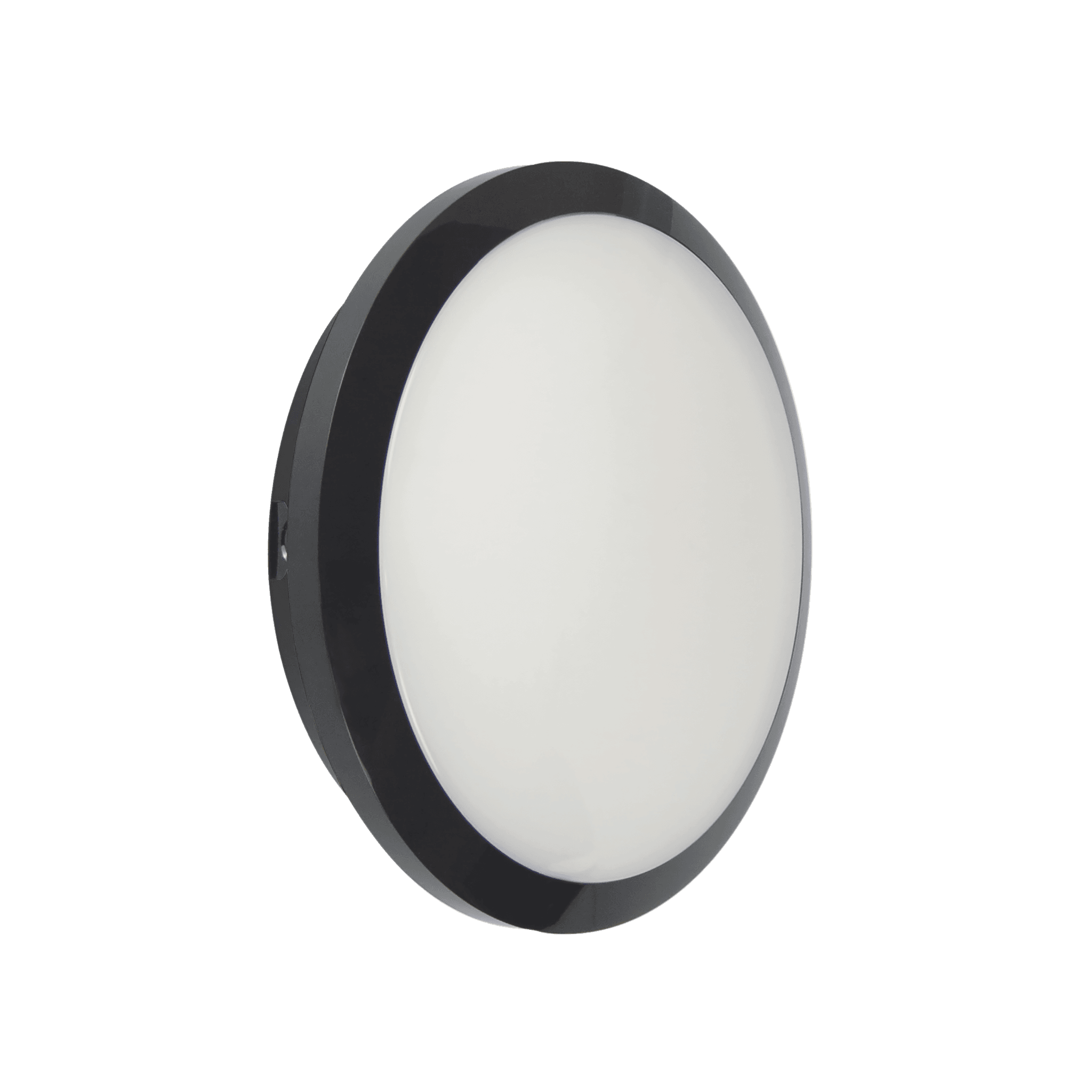 WL95 Versa image 15