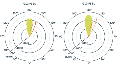 GL019 Eyelid image 3