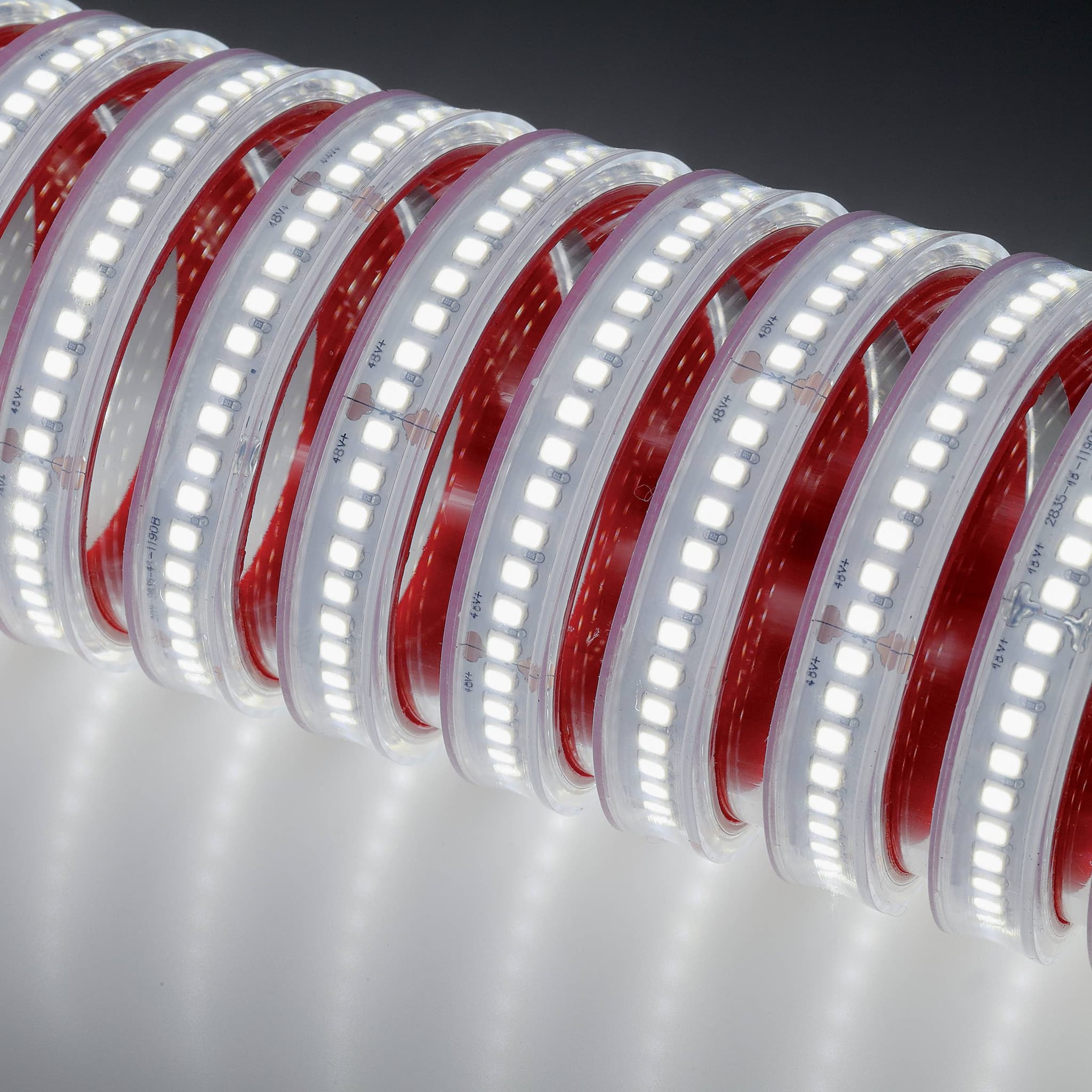 48102 image 3
