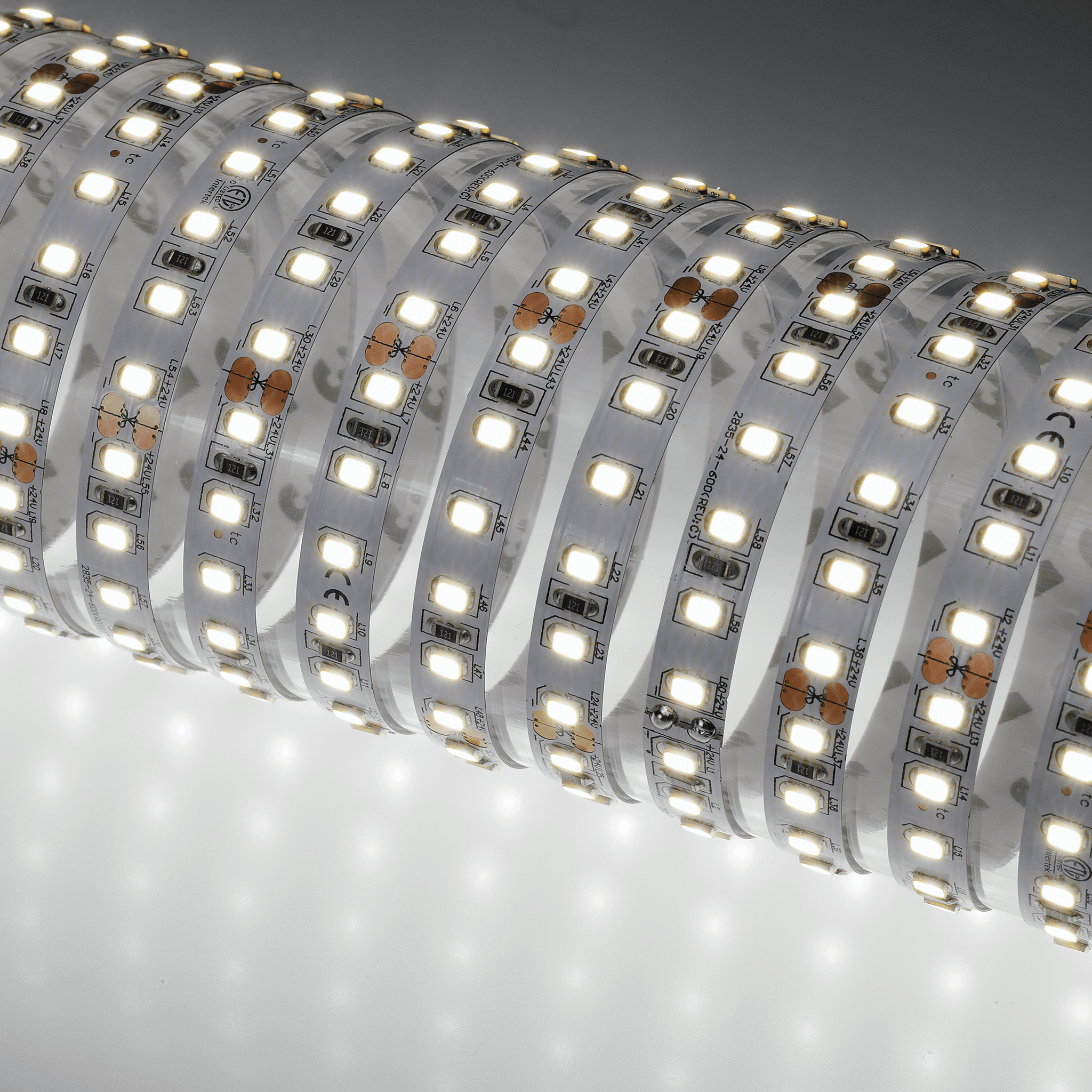 50041