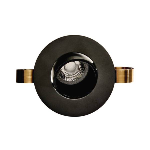 1901 Downlight