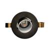 1901 Downlight