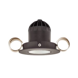 1901 Downlight