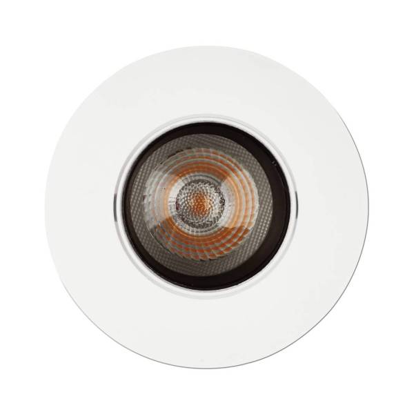 1901 Downlight - Image 3