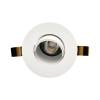 1901 Downlight