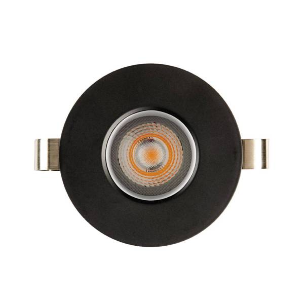 1901 Downlight