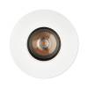 1901 Downlight