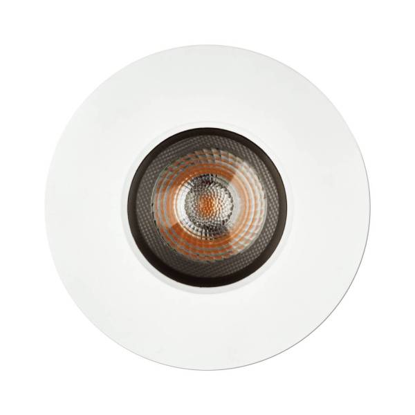1901 Downlight