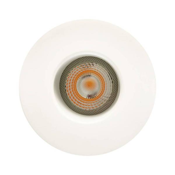 1901 Downlight