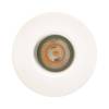1901 Downlight