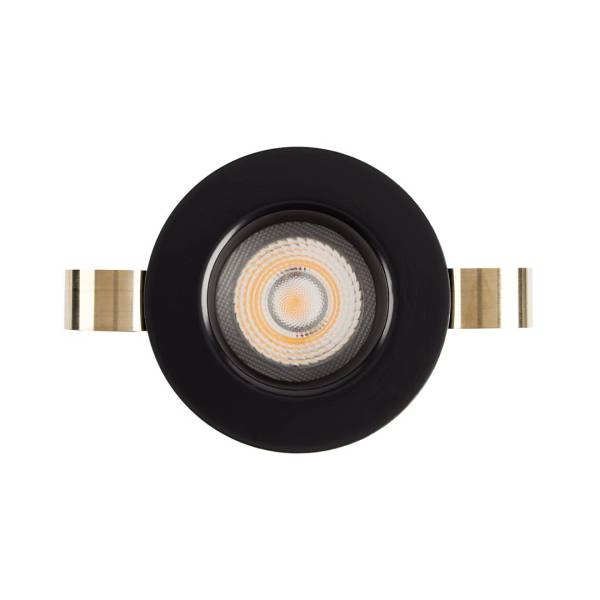 1901 Downlight