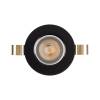1901 Downlight