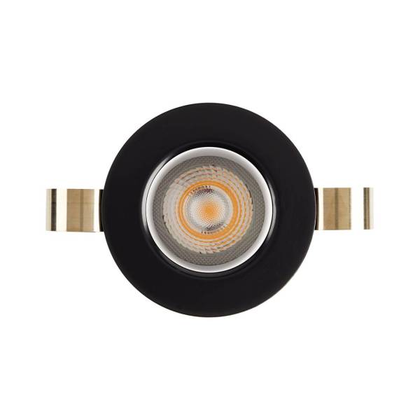 1901 Downlight