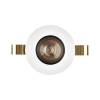 1901 Downlight