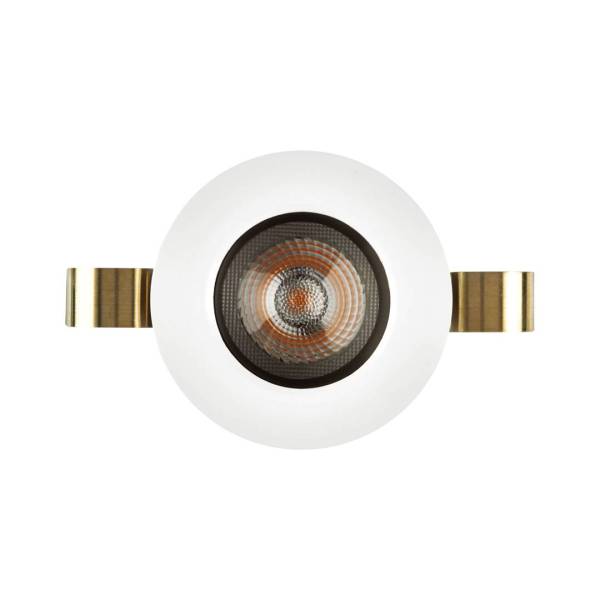 1901 Downlight