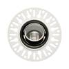 1901 Downlight