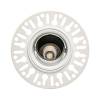 1901 Downlight