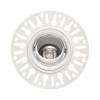 1901 Downlight