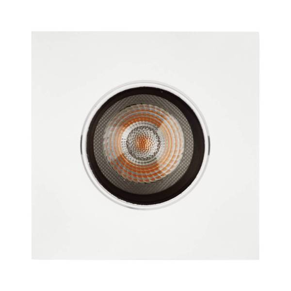 1901 Downlight - Image 3