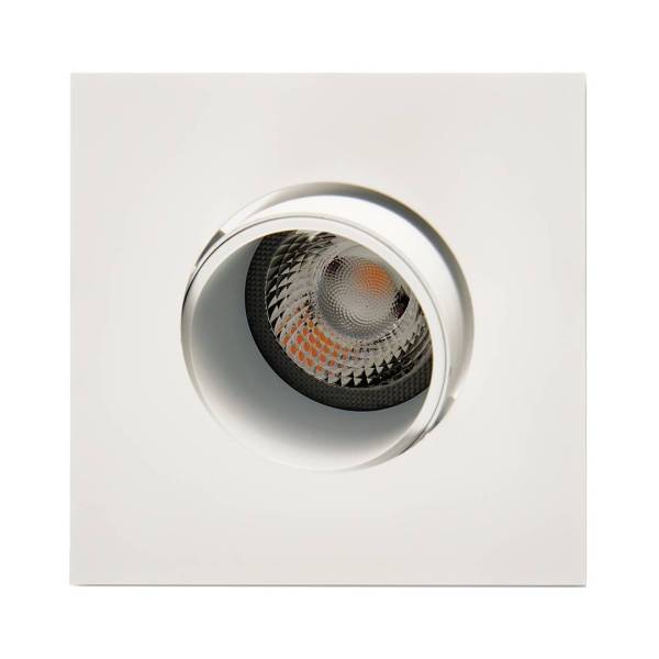 1901 Downlight