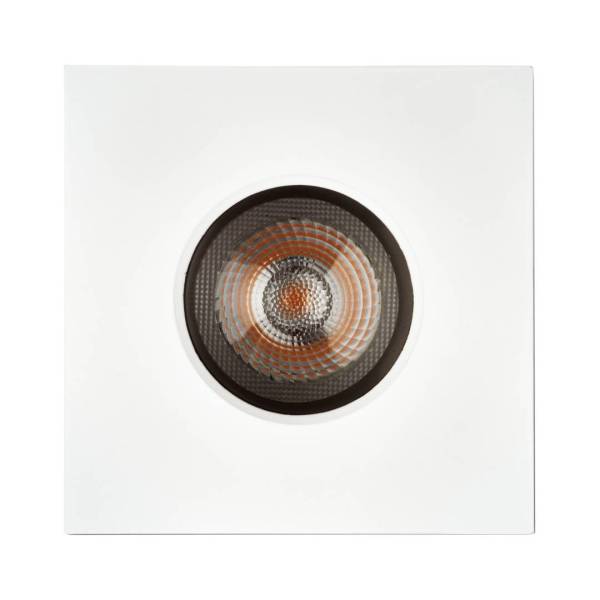 1901 Downlight